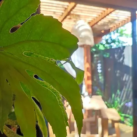 Kanopya